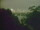 Webcam in Linley Point, 724.2 km entfernt