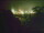 Webcam in Linley Point, 286.5 mi away