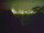Webcam in Linley Point, 727.9 km entfernt