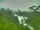 Webcam in Linley Point, 292 mi away