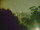 Webcam in Linley Point, 737 km