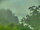 Webcam in Linley Point, 279.5 mi away