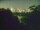 Webcam in Linley Point, 727.9 km