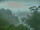 Webcam in Linley Point, 712 km