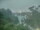 Webcam in Linley Point, 3.2 mi away