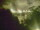 Webcam in Linley Point, 277.6 mi away