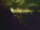 Webcam in Linley Point, 679 km