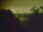 Webcam in Linley Point, 13.2 km entfernt