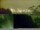 Webcam in Linley Point, 286.5 mi away