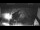 Webcam in Gatteo a Mare, 4.2 km
