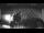 Webcam in Gatteo a Mare, 0.3 km