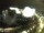 Webcam in Ponta Delgada (Azzorre), 223.9 km