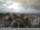 Webcam in Nordeste (Azoren), 27.6 km