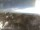 Webcam in Nordeste (Azoren), 31.2 km