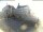 Webcam in Helmstedt, 12.1 mi away