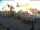 Webcam in Helmstedt, 41 km