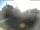 Webcam in Helmstedt, 44.8 km