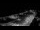 Webcam in Dieppe, 10.3 mi away