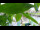 Webcam in Carolinensiel-Harlesiel, 4.4 mi away