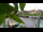 Webcam in Carolinensiel-Harlesiel, 2.1 km