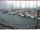 Webcam in Brunnen, 9.5 km
