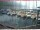 Webcam in Brunnen, 9 km