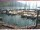 Webcam in Brunnen, 1.4 km