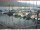 Webcam in Brunnen, 2.8 km