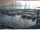 Webcam in Brunnen, 8.2 km