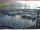 Webcam in Brunnen, 2.8 km