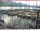 Webcam in Brunnen, 3.7 mi away