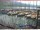 Webcam in Brunnen, 7.4 km