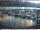 Webcam in Brunnen, 11.4 km