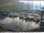 Webcam in Brunnen, 8.2 km