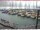 Webcam in Brunnen, 3.7 km