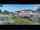 Webcam in Palestrina, 4.5 mi away