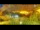 Webcam in Palestrina, 13.2 mi away