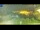 Webcam in Palestrina, 0.1 mi away
