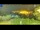 Webcam in Palestrina, 49.2 km