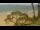 Webcam in Paia, Hawaii, 72.8 mi away