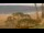 Webcam in Paia, Hawaï, 32.1 km