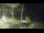 Webcam in Napili, Hawaii, 124.2 km