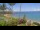 Webcam in Napili, Hawaii, 320.1 km