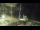 Webcam in Napili, Hawaii, 124.2 km