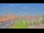 Webcam in Uelzen, 5 mi away
