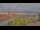 Webcam in Uelzen, 13 km