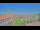 Webcam in Uelzen, 12.4 mi away