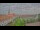 Webcam in Uelzen, 38.2 km
