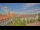 Webcam in Uelzen, 18.7 mi away