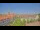 Webcam in Uelzen, 7 mi away